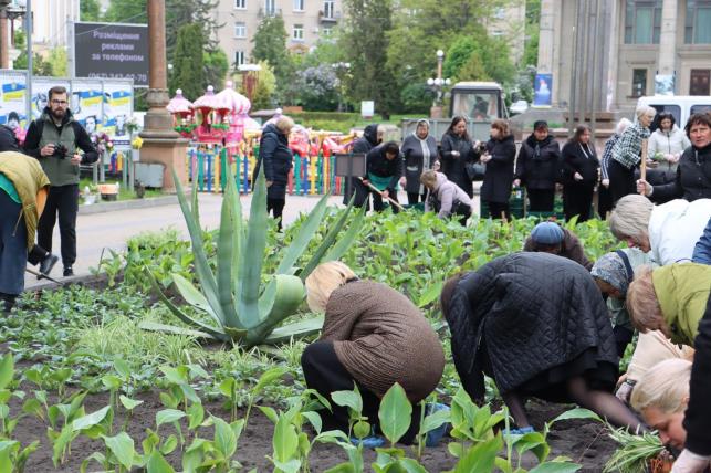 Новини Тернополя - фото з Матері полеглих Героїв висадили квіти у центрі Тернополя