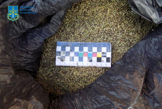 Новини Вінниці - фото з У селі під Баром зловили наркоділка з 47 кілограмами канабісу. Суд дав йому дев’ять з половиною років тюрми