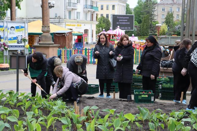 Новини Тернополя - фото з Матері полеглих Героїв висадили квіти у центрі Тернополя