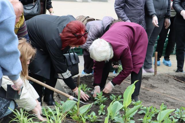 Новини Тернополя - фото з Матері полеглих Героїв висадили квіти у центрі Тернополя