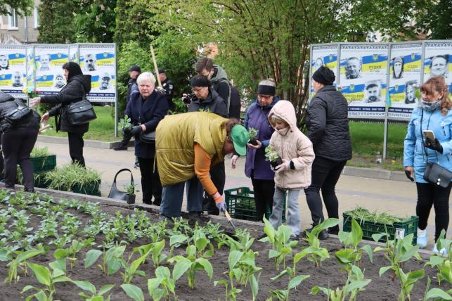 Новини Тернополя - фото з Матері полеглих Героїв висадили квіти у центрі Тернополя