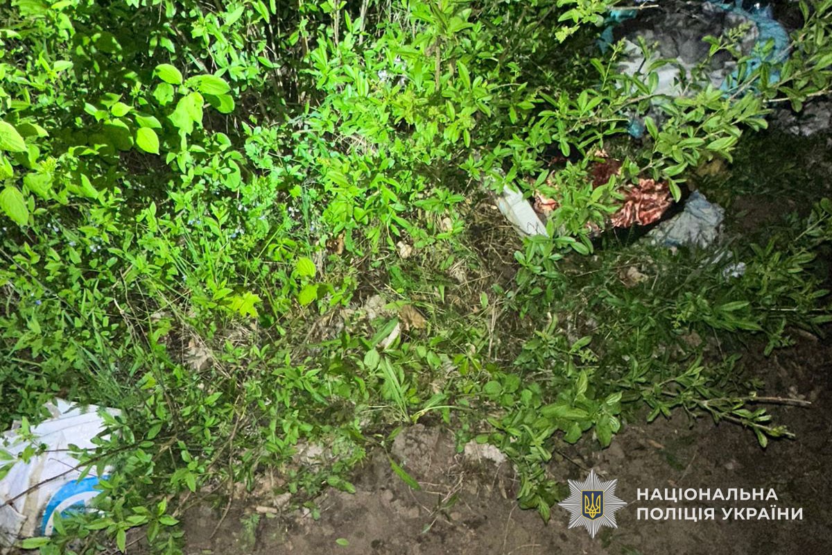Тернополянка викопала 100 кущів в парку, щоб обсадити дачу — поліція