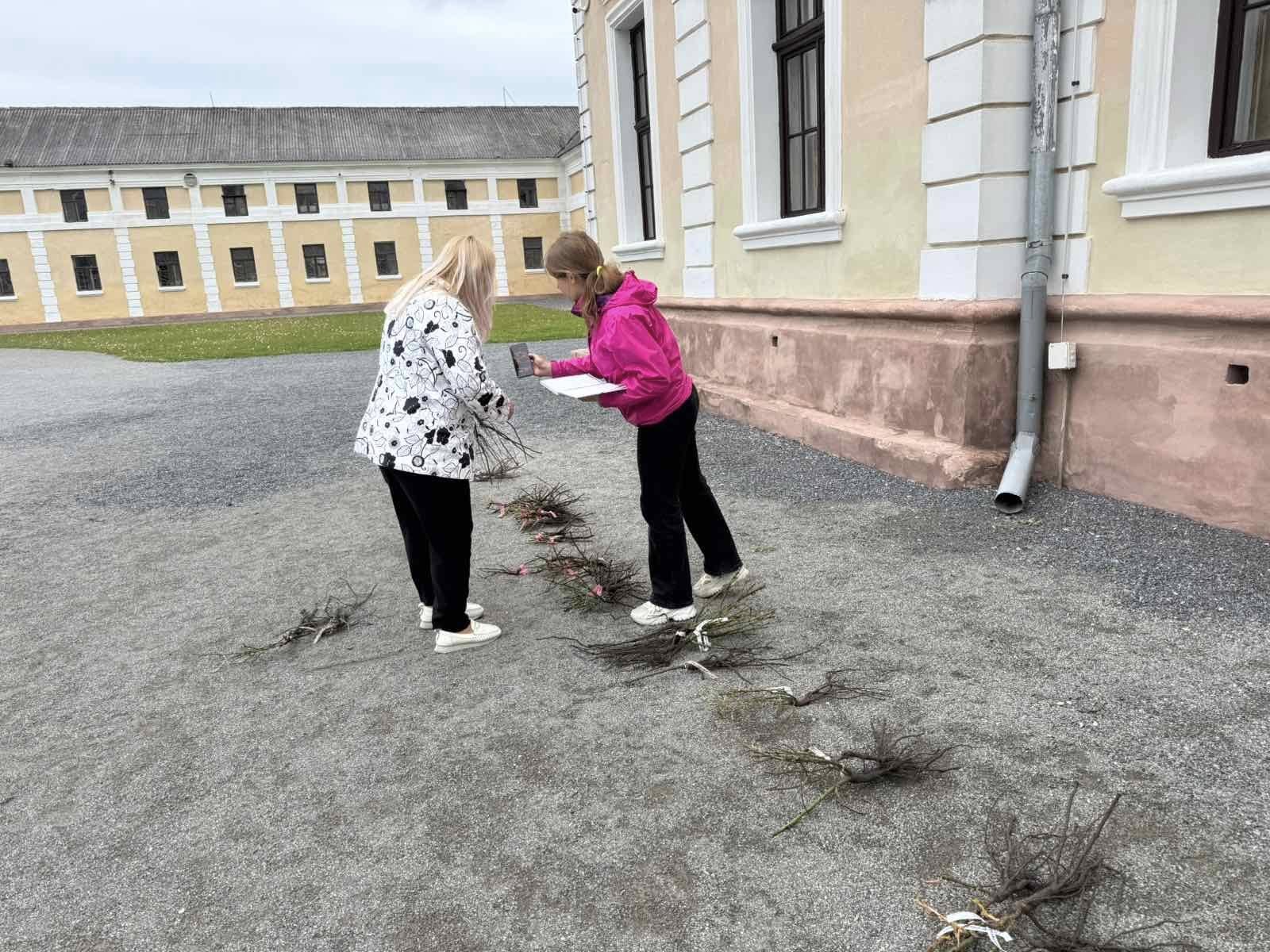 Новини Тернополя - фото з Троянди для палацу: спільнота квітникарів подарувала понад 150 кущів для Вишнівця На зображенні може бути: 2 людини