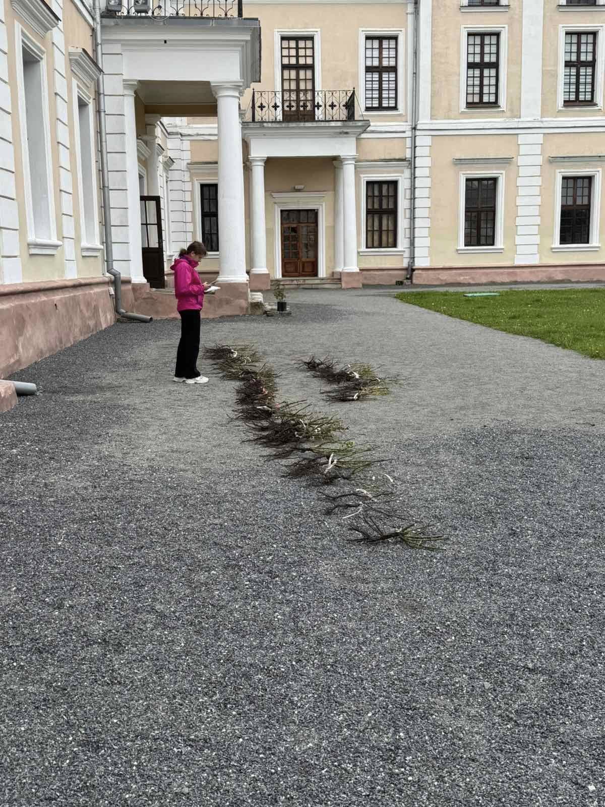 Новини Тернополя - фото з Троянди для палацу: спільнота квітникарів подарувала понад 150 кущів для Вишнівця На зображенні може бути: 1 особа