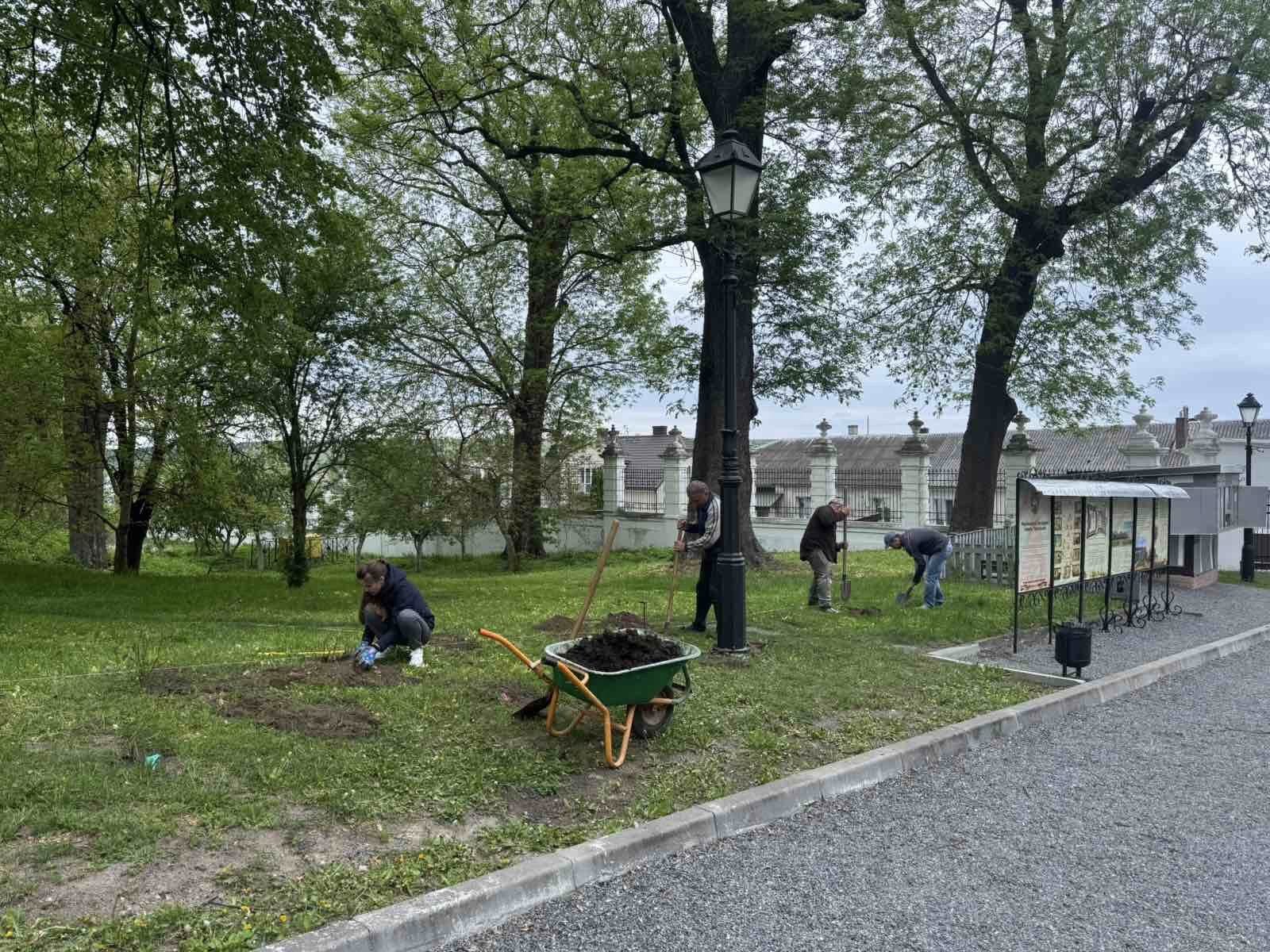 Новини Тернополя - фото з Троянди для палацу: спільнота квітникарів подарувала понад 150 кущів для Вишнівця На зображенні може бути: 4 людини, трава та дерево
