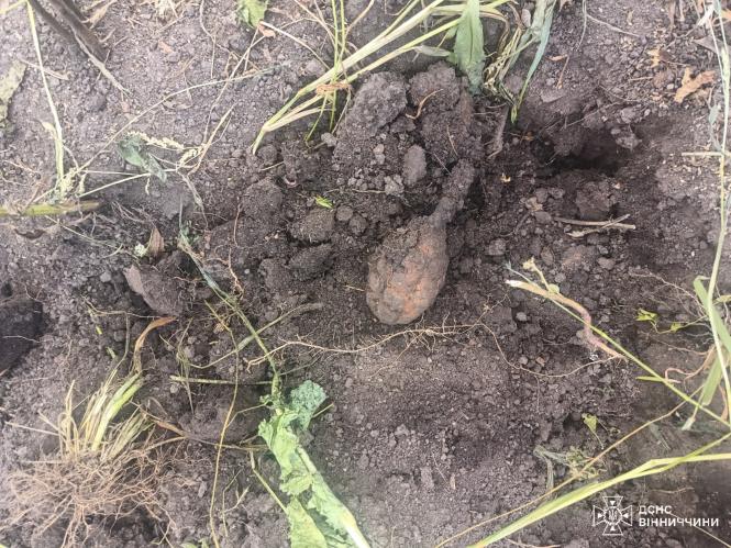 Новини Вінниці - фото з «Сюрприз» на городі: у Козятині знайшли небезпечний боєприпас