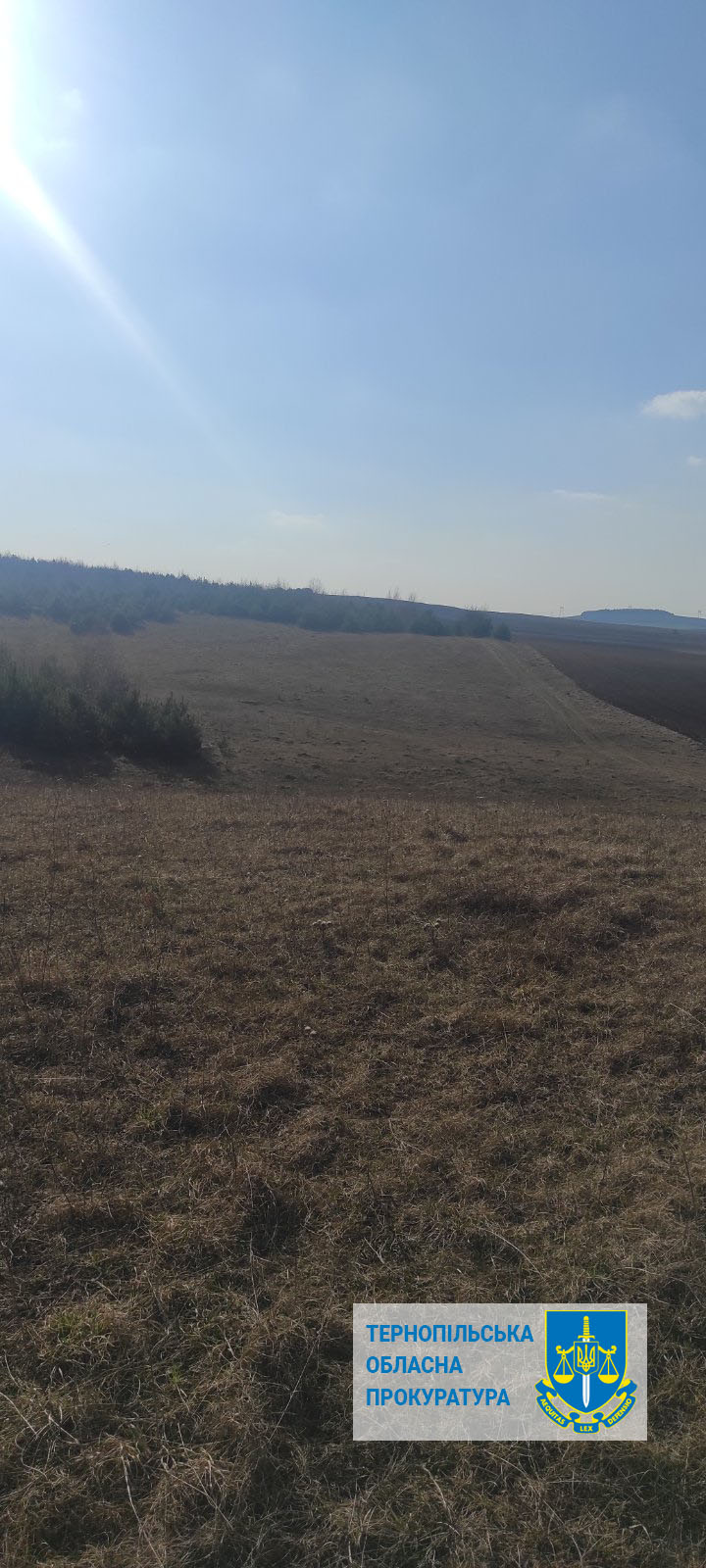 На зображенні може бути: силос, горизонт, трава та текст