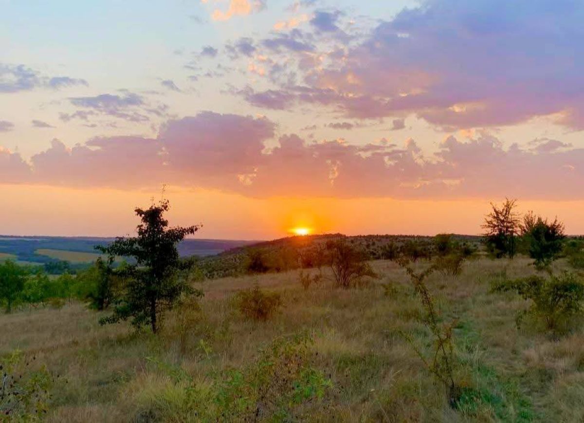 Новини Вінниці - фото з Два позови у судах Вінниці, один — у Києві: чому Буша просить допомоги?