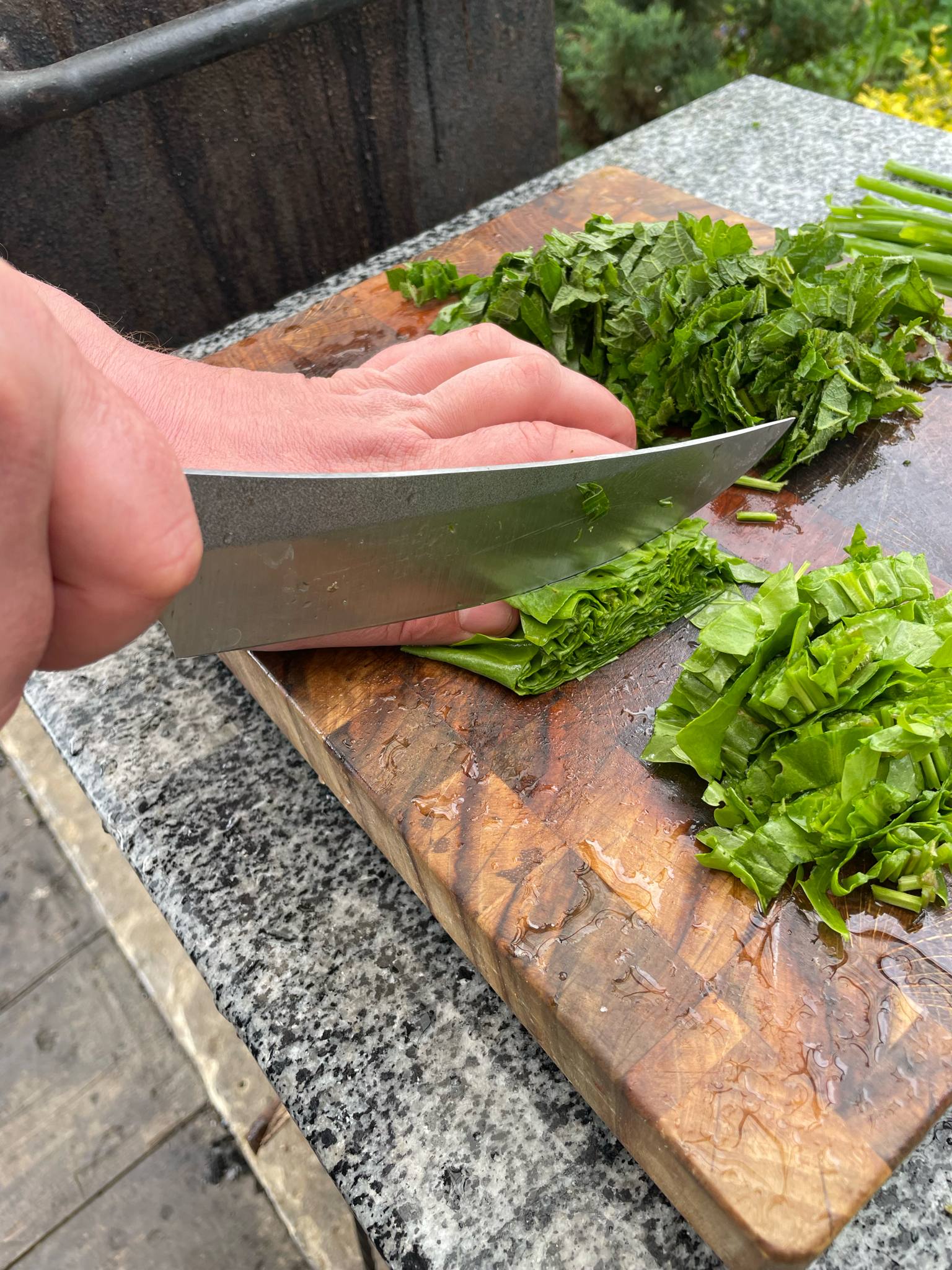 Новини Тернополя - фото з Готуємо зелений борщ з кропивою