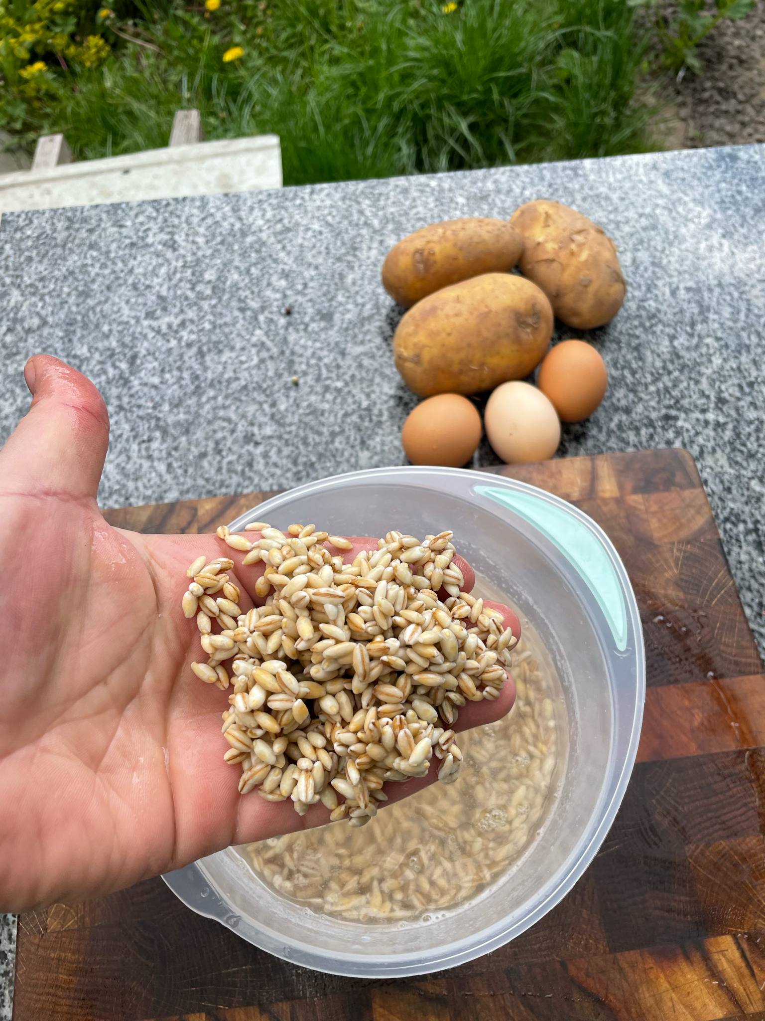 Новини Тернополя - фото з Готуємо зелений борщ з кропивою