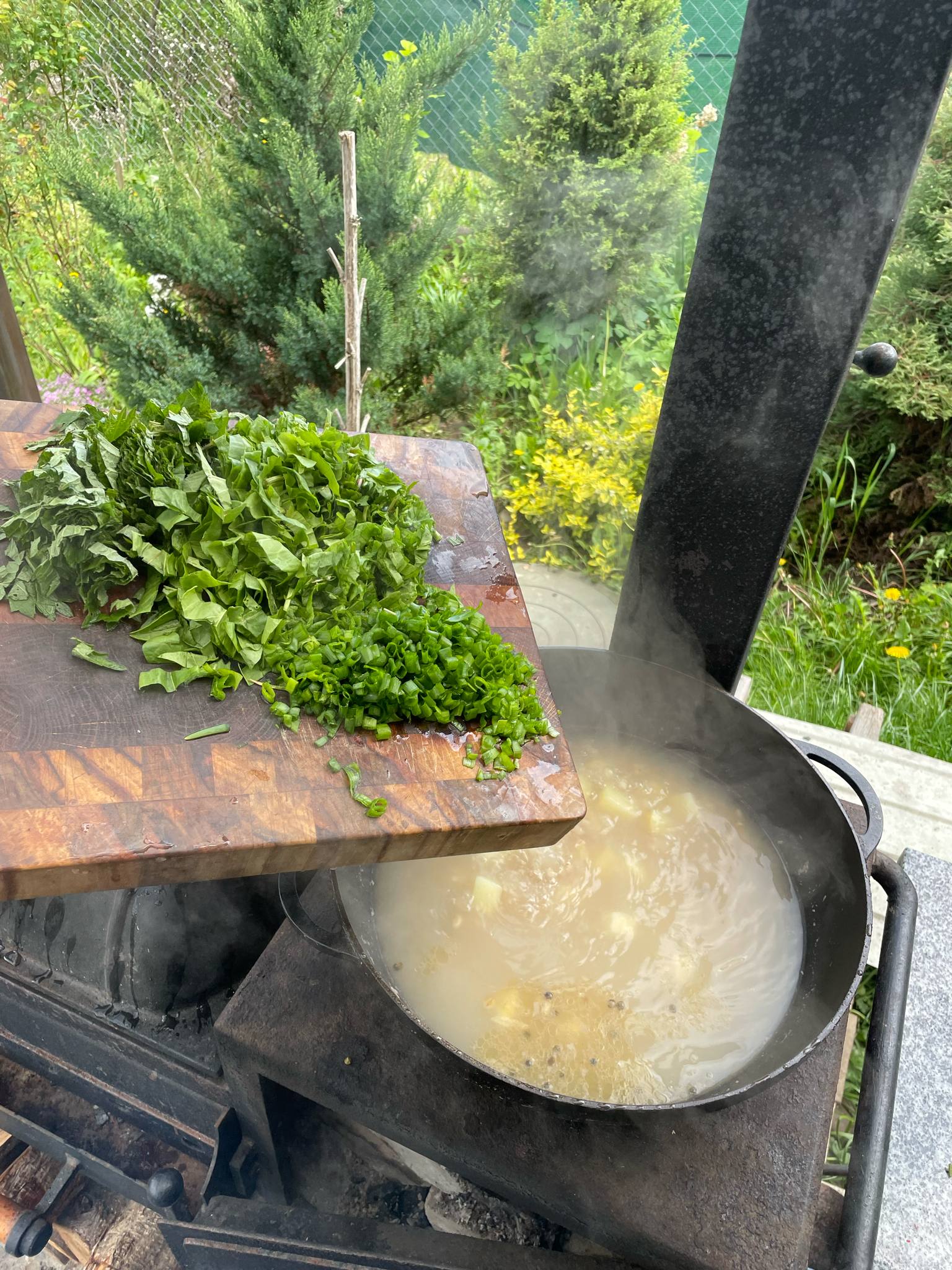 Новини Тернополя - фото з Готуємо зелений борщ з кропивою