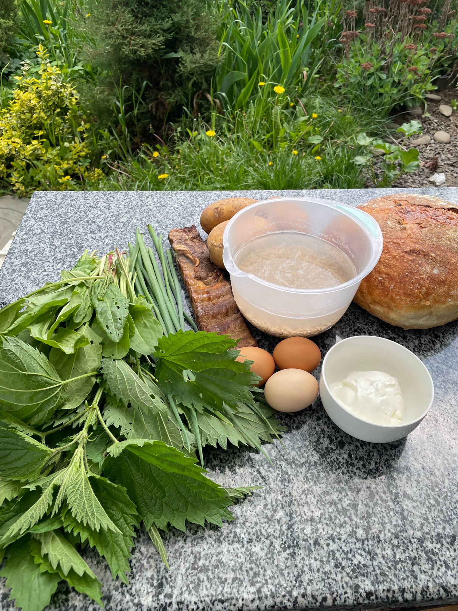 Новини Тернополя - фото з Готуємо зелений борщ з кропивою