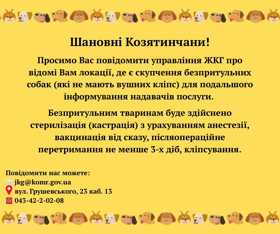 Новини Козятина - фото з У Козятині стерелізуватимуть бродячих псів. Просять повідомити, де їх найбільше