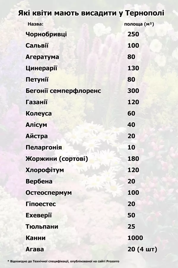 Новини Тернополя - фото з У центрі міста висаджують квіти: дивіться, який вигляд мають клумби