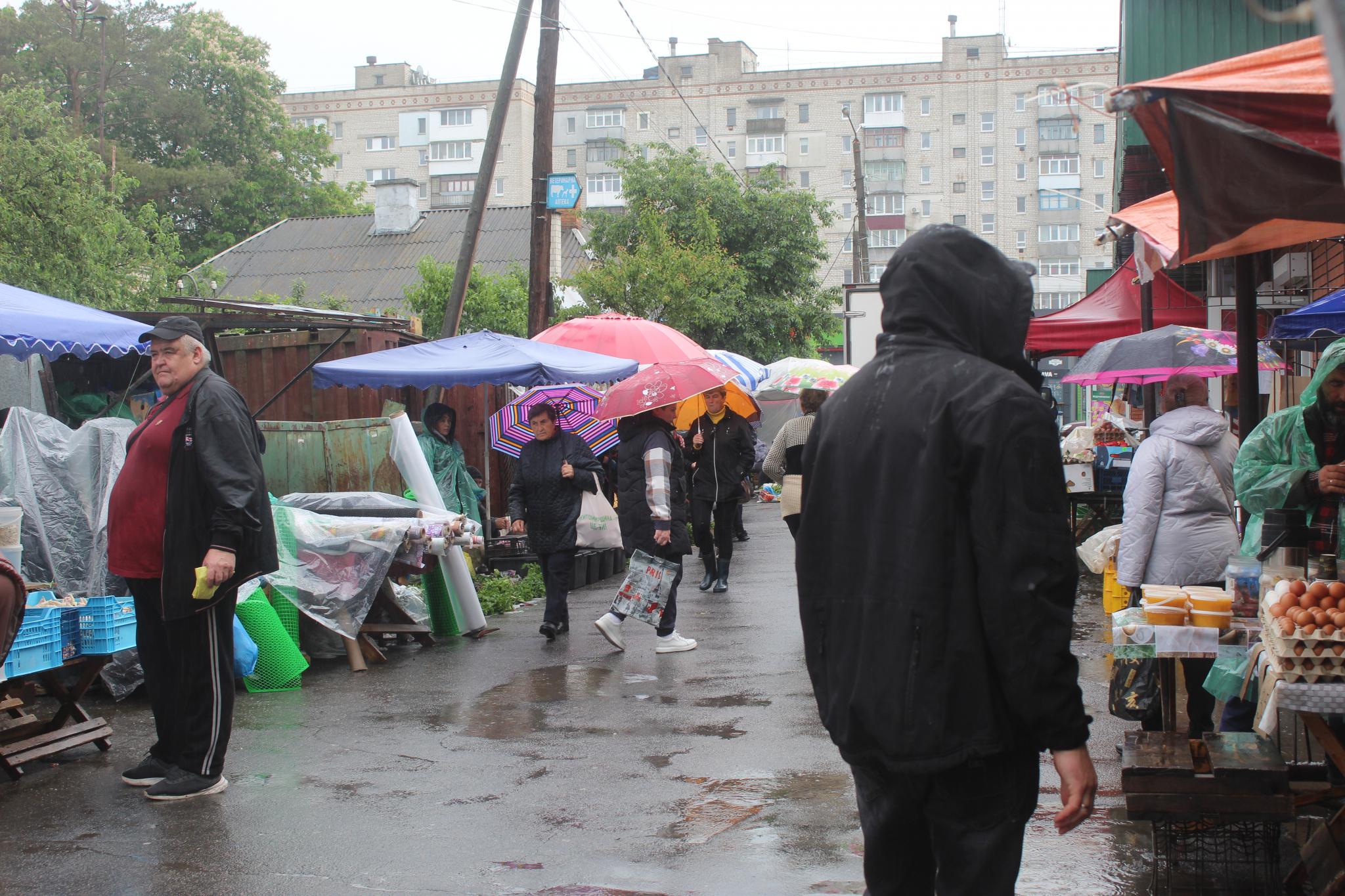 Новини Козятина - фото з На ринку було багато новинок, але не всім вони були по кишені