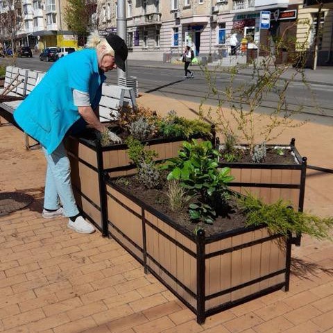 Новини Вінниці - фото з На дерева та кущі витратять понад 26 мільйонів. Що ще варто знати про озеленення Вінниці?