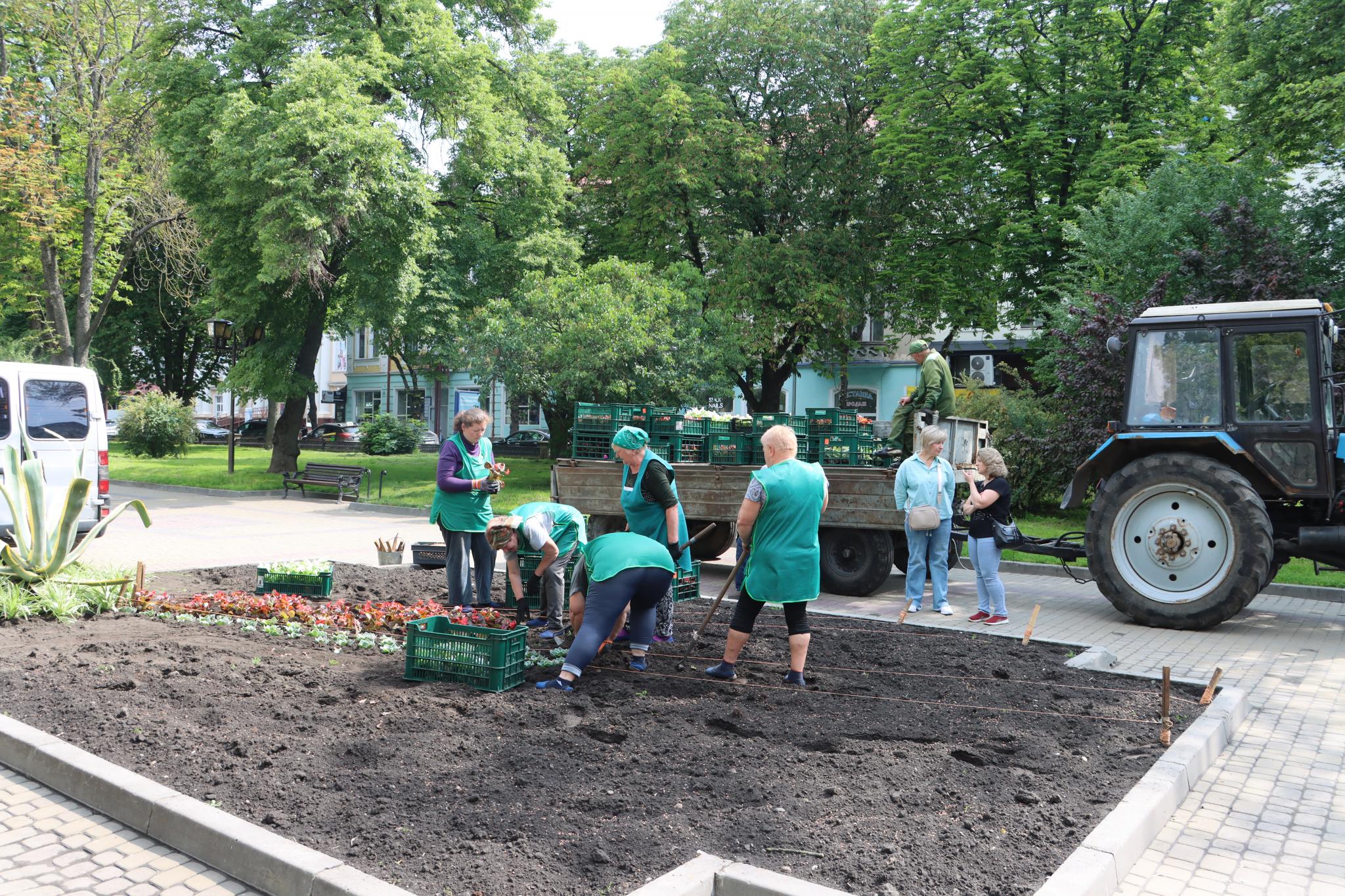 Новини Тернополя - фото з На бульварі Шевченка висаджують квіти на клумбах