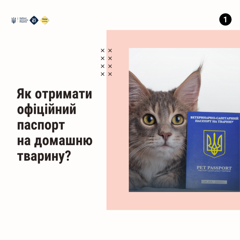 Новини Тернополя - фото з Як отримати офіційний паспорт на домашню тварину?