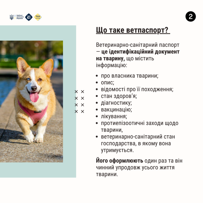 Новини Тернополя - фото з Як отримати офіційний паспорт на домашню тварину?