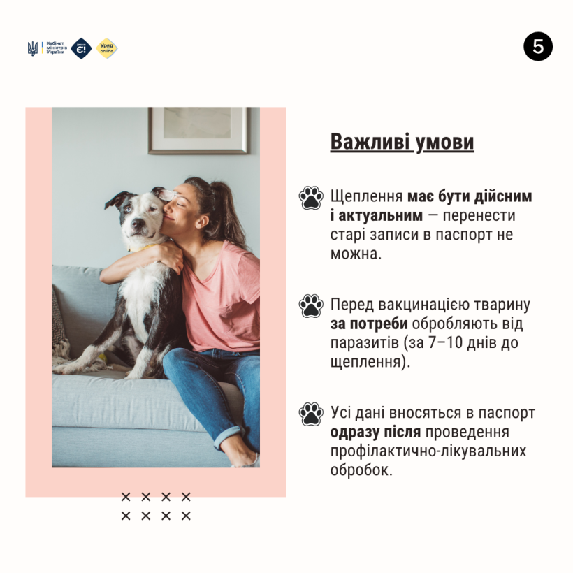Новини Тернополя - фото з Як отримати офіційний паспорт на домашню тварину?