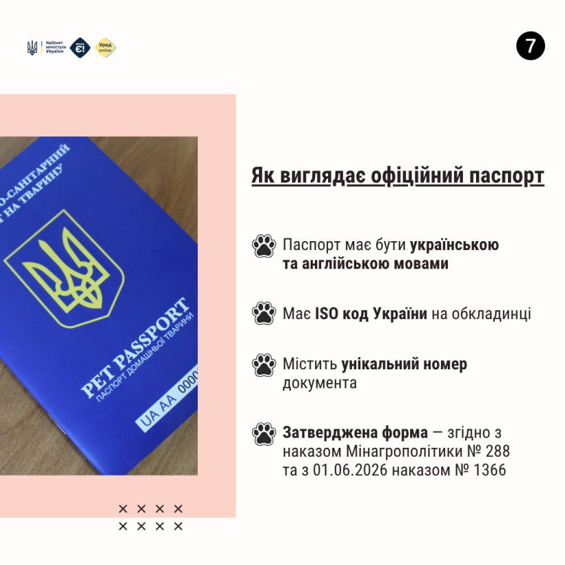 Новини Тернополя - фото з Як отримати офіційний паспорт на домашню тварину?
