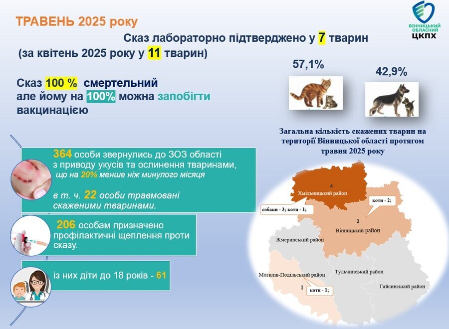 Новини Вінниці - фото з Буває по 12 випадків за день: на Вінниччині понад дві сотні дітей стали жертвами укусів тварин