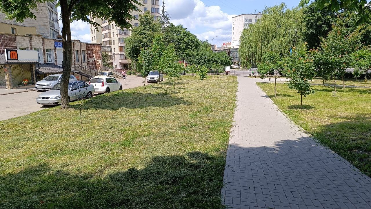 Новини Тернополя - фото з Просять відремонтувати дорогу на Стадникової — створили петицію