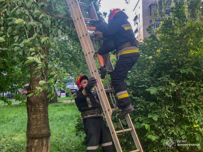 Новини Вінниці - фото з У Вінниці рятувальники допомогли 7-річному хлопчику, який застряг на черешні