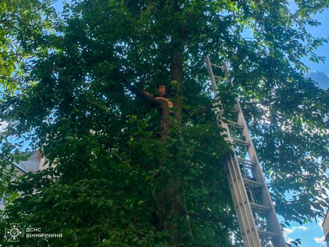 Новини Вінниці - фото з У Вінниці рятувальники допомогли 7-річному хлопчику, який застряг на черешні