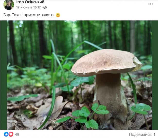 Новини Вінниці - фото з Грибний сезон у розпалі: де шукати «лісове золото» на Вінниччині