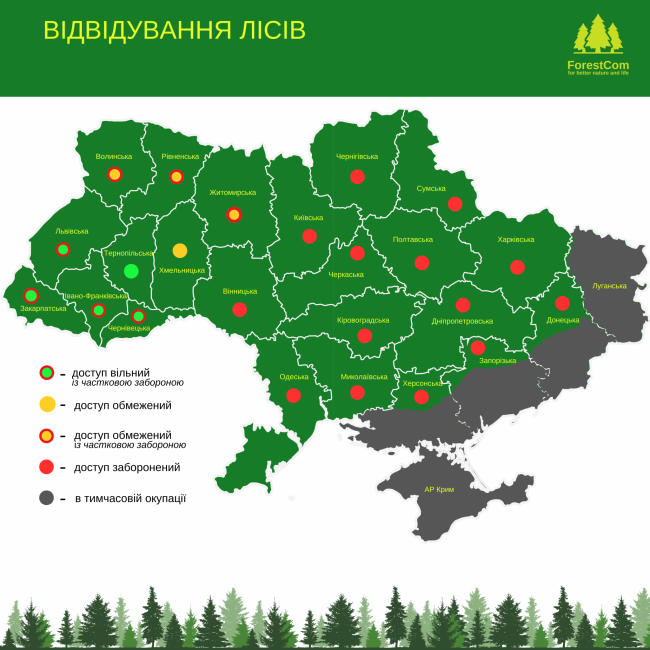 Новини Вінниці - фото з Грибний сезон у розпалі: де шукати «лісове золото» на Вінниччині
