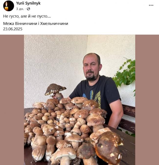 Новини Вінниці - фото з Грибний сезон у розпалі: де шукати «лісове золото» на Вінниччині