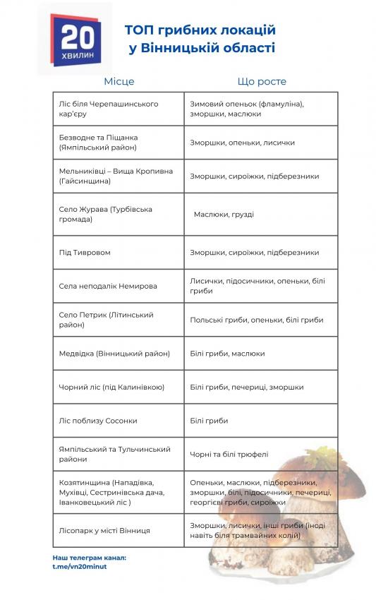 Новини Вінниці - фото з Грибні місця Вінниччини: де шукати «лісове золото», ми дізналися у любителів тихого полювання