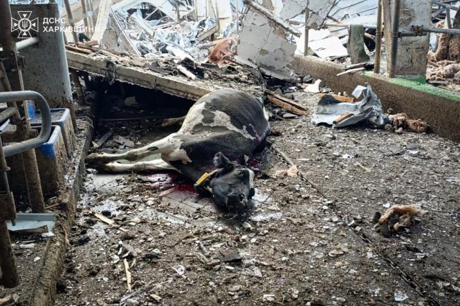 Новини Вінниці - фото з Вінничани чули вибухи, поки ЗСУ відбивали масований удар ворога
