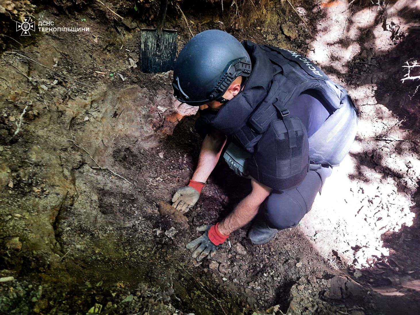 Новини Тернополя - фото з Гектари випаленої землі: рятувальники Тернопільщини закликають не палити траву
