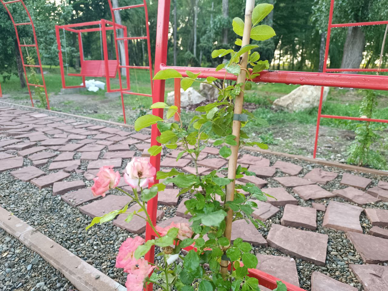 Новини Тернополя - фото з Встановили арки та висадили троянди: який вигляд має японський сад у Сопільче