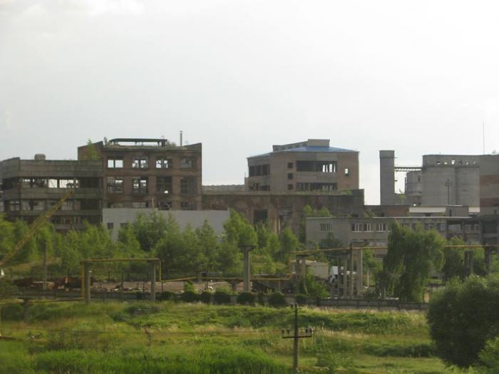 Новини Вінниці - фото з Від ринку Каліча до Муніципального: історія Вінницьких базарів у фото та фактах