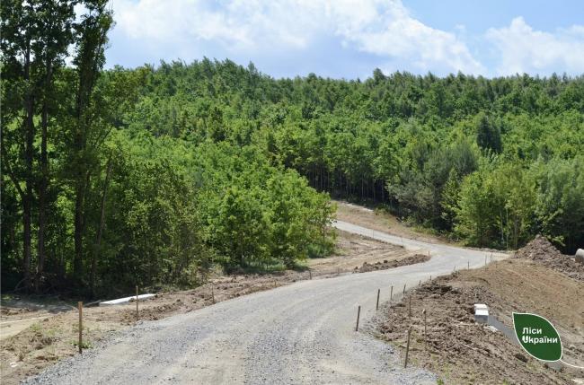 Новини Вінниці - фото з У Бруслинівському лісництві будують понад шість кілометрів лісової дороги