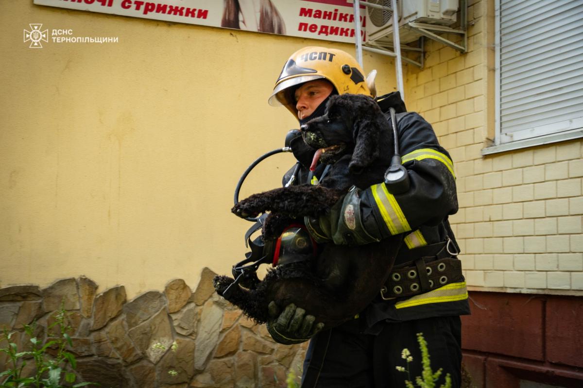 «Все знищено, але Бог зберіг моїх дітей». На Вишневецького згоріла квартира військового