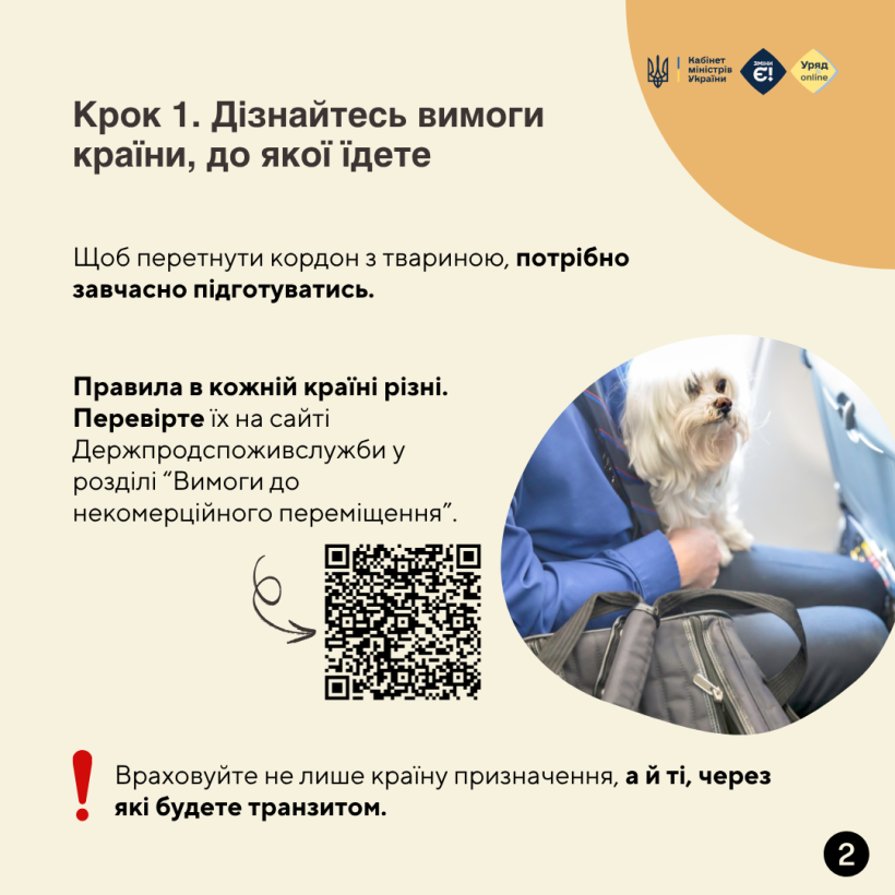 Подорож за кордон із домашнім улюбленцем: що потрібно знати