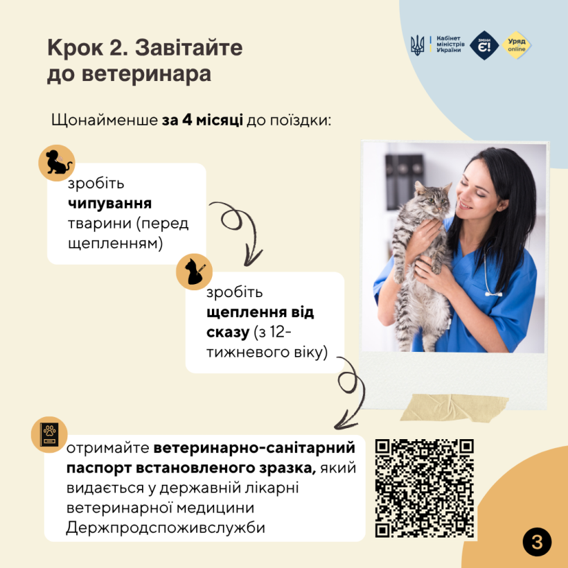 Подорож за кордон із домашнім улюбленцем: що потрібно знати