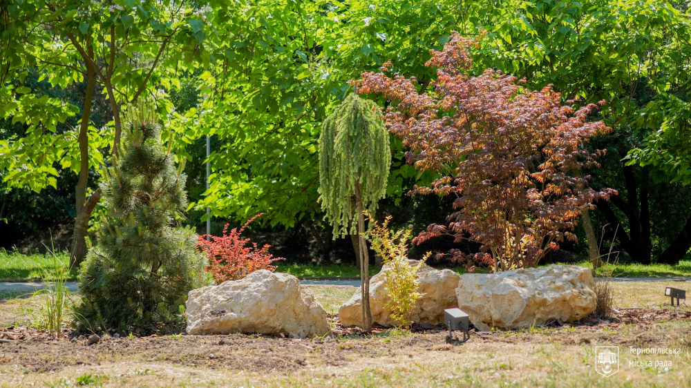 Новини Тернополя - фото з Терапевтичний сад відкрили в парку «Сопільче»
