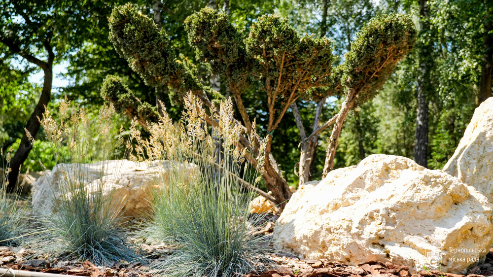 Новини Тернополя - фото з Терапевтичний сад відкрили в парку «Сопільче»