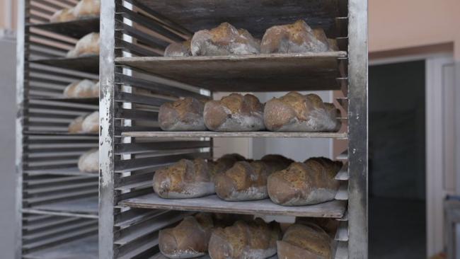 Новини Вінниці - фото з «Мелемо на кам’яних жорнах і печемо на заквасках»: у Липовці відроджують культуру українського хліба