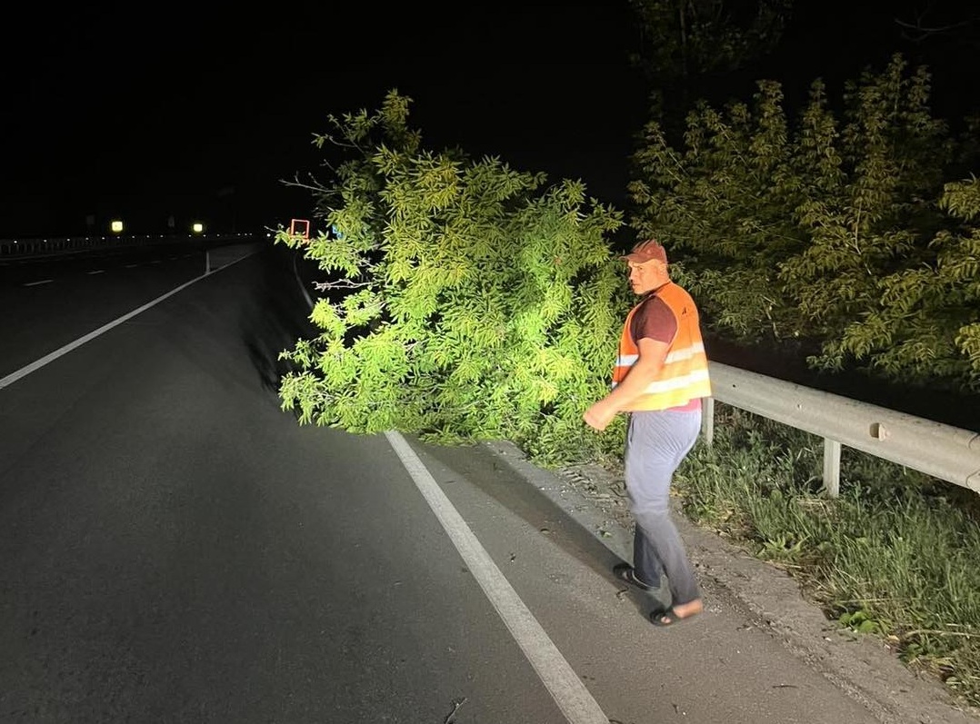 Новини Тернополя - фото з Наслідки негоди на Тернопільщині: без світла залишаються 66 населених пунктів