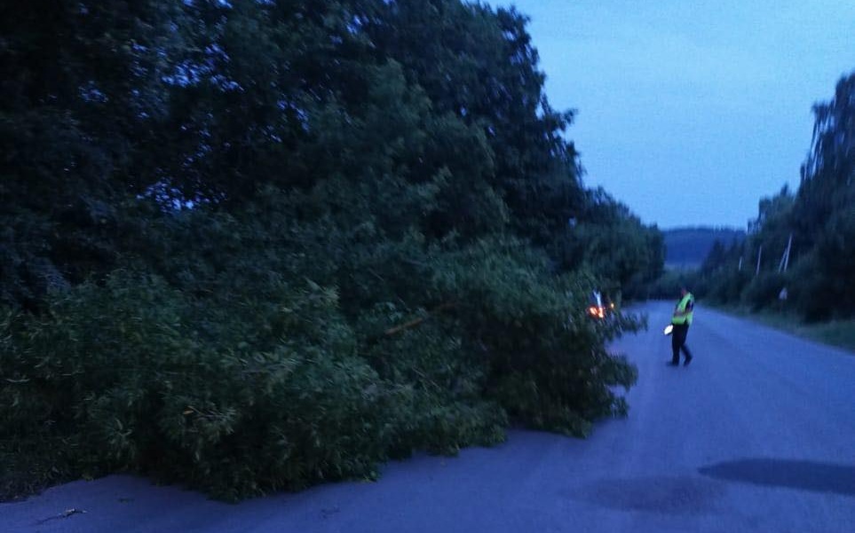 Новини Тернополя - фото з Наслідки негоди на Тернопільщині: без світла залишаються 66 населених пунктів