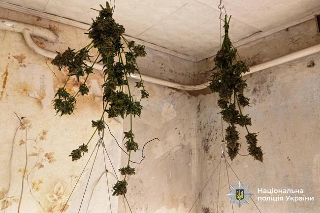 Новини Вінниці - фото з Заробляли на залежних: у Гнівані викрили «домашній» наркобізнес