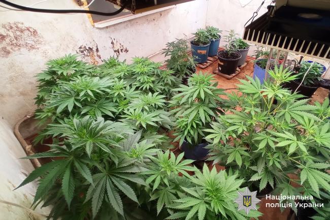 Новини Вінниці - фото з Заробляли на залежних: у Гнівані викрили «домашній» наркобізнес