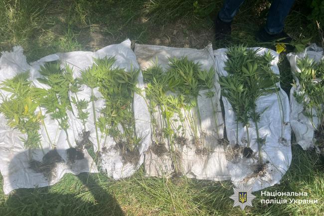 Новини Вінниці - фото з Заробляли на залежних: у Гнівані викрили «домашній» наркобізнес