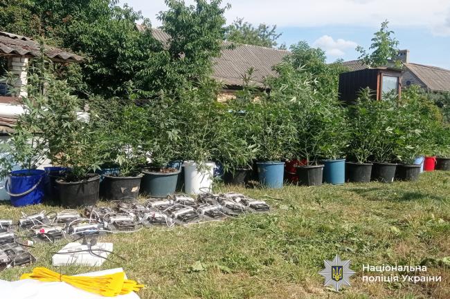 Новини Вінниці - фото з Заробляли на залежних: у Гнівані викрили «домашній» наркобізнес